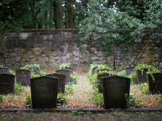 Friedhof_Weissensee_19.png