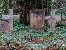 Friedhof_Grunewald_Forst_15.png